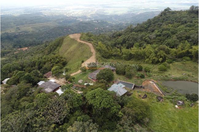 Fincas y Casas Campestres, Venta, Pance - $790.000.000