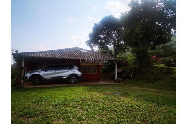 Fincas y Casas Campestres, Venta, Pance - $790.000.000