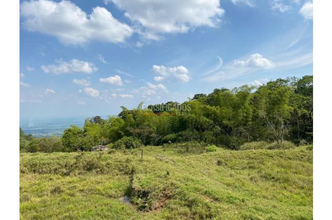 Fincas y Casas Campestres, Venta en Pance