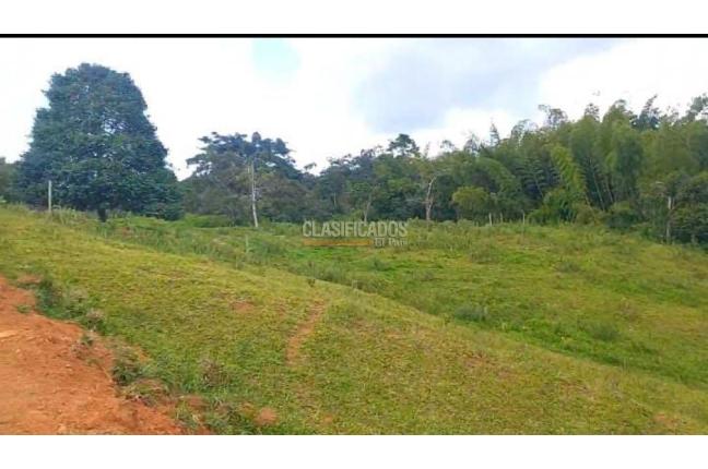 Lotes, Venta, La Cumbre - $250.000.000
