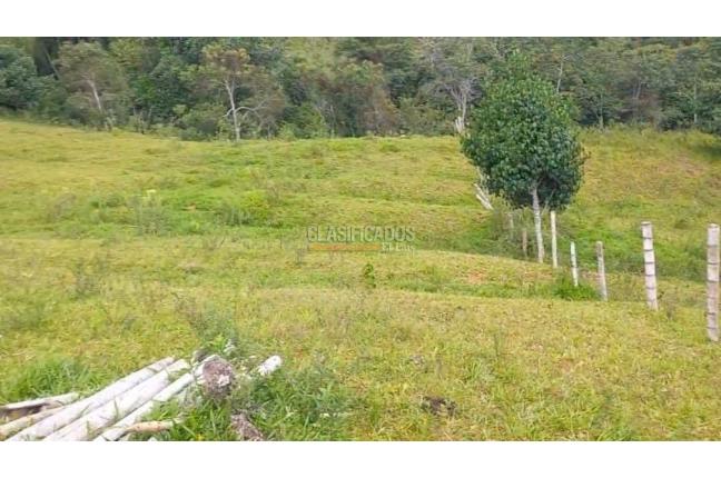Lotes, Venta, La Cumbre - $250.000.000