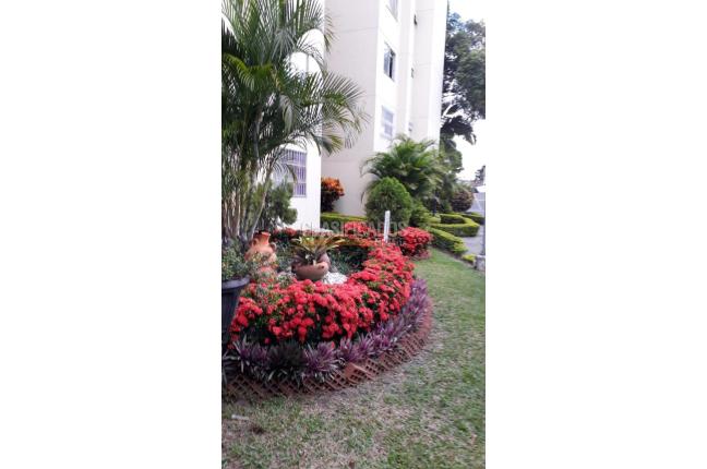Apartamentos, Venta, El Limonar - $265.000.000