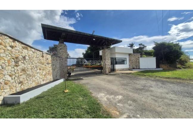 Lotes, Venta, Calima (Darién) - $215.000.000