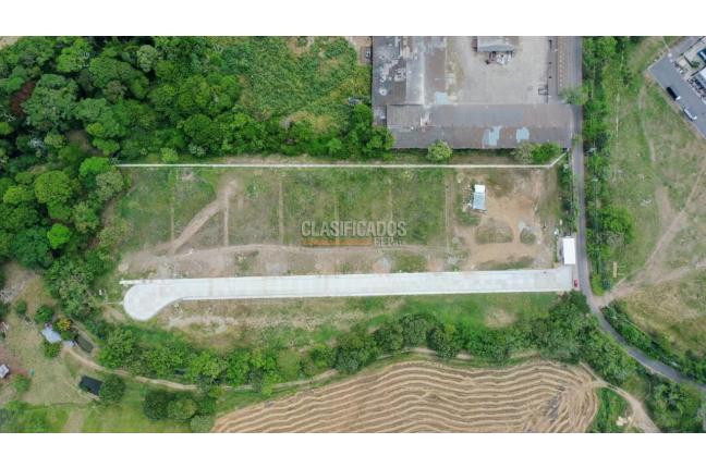 Lotes, Venta en Ibagué