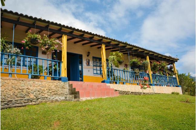 Fincas y Casas Campestres, Venta, Dagua - $550.000.000
