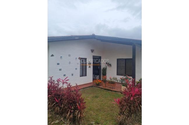 Fincas y Casas Campestres, Venta, Dagua - $530.000.000