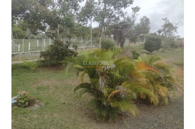 Fincas y Casas Campestres, Venta en Dagua