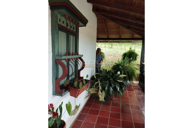Fincas y Casas Campestres, Venta, Dagua - $560.000.000