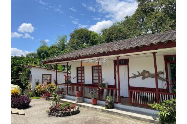 Fincas y Casas Campestres, Venta, Montenegro - $1.950.000.000