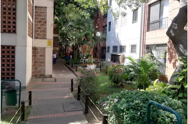 Apartamentos, Alquiler en Cuarto de Legua