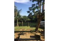 Fincas y Casas Campestres, Venta, Calima (Darién) - $480.000.000