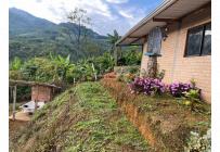 Fincas y Casas Campestres, Venta, Buga - $285.000.000