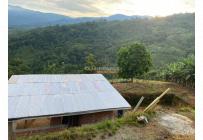 Fincas y Casas Campestres, Venta, Buga - $285.000.000