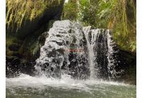 Fincas y Casas Campestres, Venta, Buga - $285.000.000