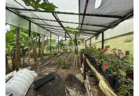 Fincas y Casas Campestres, Venta, Dagua - $2.750.000.000