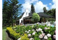 Fincas y Casas Campestres, Venta, Calima (Darién) - $950.000.000
