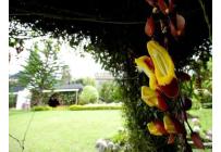 Fincas y Casas Campestres, Venta, Calima (Darién) - $950.000.000