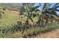 Casas, Venta, Jamundí - $550.000.000