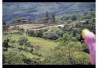 Fincas y Casas Campestres, Venta, La Cumbre - $285.000.000