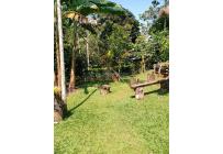 Fincas y Casas Campestres, Venta, Santander de Quilichao - $175.000.000