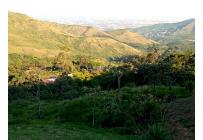 Lotes, Venta, Yumbo - $575.000.000