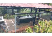 Fincas y Casas Campestres, Venta, Saladito - $620.000.000