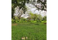Lotes, Venta, Pance - $1.300.000.000