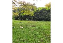 Lotes, Venta, Pance - $1.300.000.000
