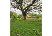 Lotes, Venta, Pance - $1.300.000.000