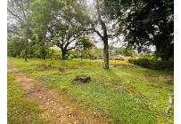 Lotes, Venta, Pance - $1.300.000.000