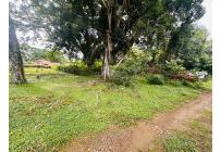 Lotes, Venta, Pance - $1.300.000.000