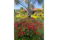 Casas, Venta, Palmira - $1.300.000.000