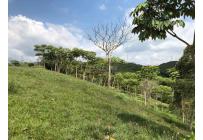 Lotes, Venta, Pance - $1.600.000.000
