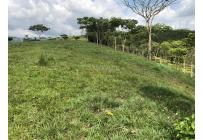Lotes, Venta, Pance - $1.600.000.000