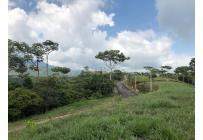 Lotes, Venta, Pance - $1.600.000.000
