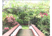 Casas, Venta, Pance - $5.700.000.000