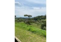 Lotes, Venta, Pance - $940.000.000