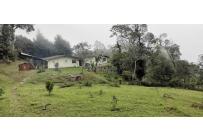 Fincas y Casas Campestres, Venta, Yumbo - $700.000.000