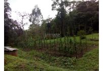 Fincas y Casas Campestres, Venta, Yumbo - $700.000.000