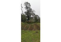 Fincas y Casas Campestres, Venta, Yumbo - $700.000.000