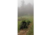 Fincas y Casas Campestres, Venta, Yumbo - $700.000.000