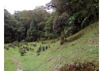 Fincas y Casas Campestres, Venta, Yumbo - $700.000.000