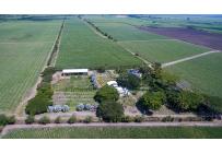 Fincas y Casas Campestres, Venta, Palmira - $5.000.000.000