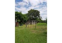 Fincas y Casas Campestres, Venta, Candelaria - $1.300.000.000