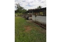 Fincas y Casas Campestres, Venta, Candelaria - $1.300.000.000