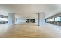 Edificios, Alquiler, San Pedro - $730.000.000
