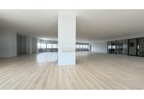 Edificios, Alquiler, San Pedro - $730.000.000