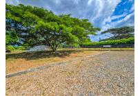 Lotes, Venta, Palmira - $1.790.000.000