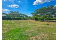 Lotes, Venta, Palmira - $1.790.000.000