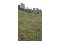 Lotes, Venta, Dagua - $427.000.000